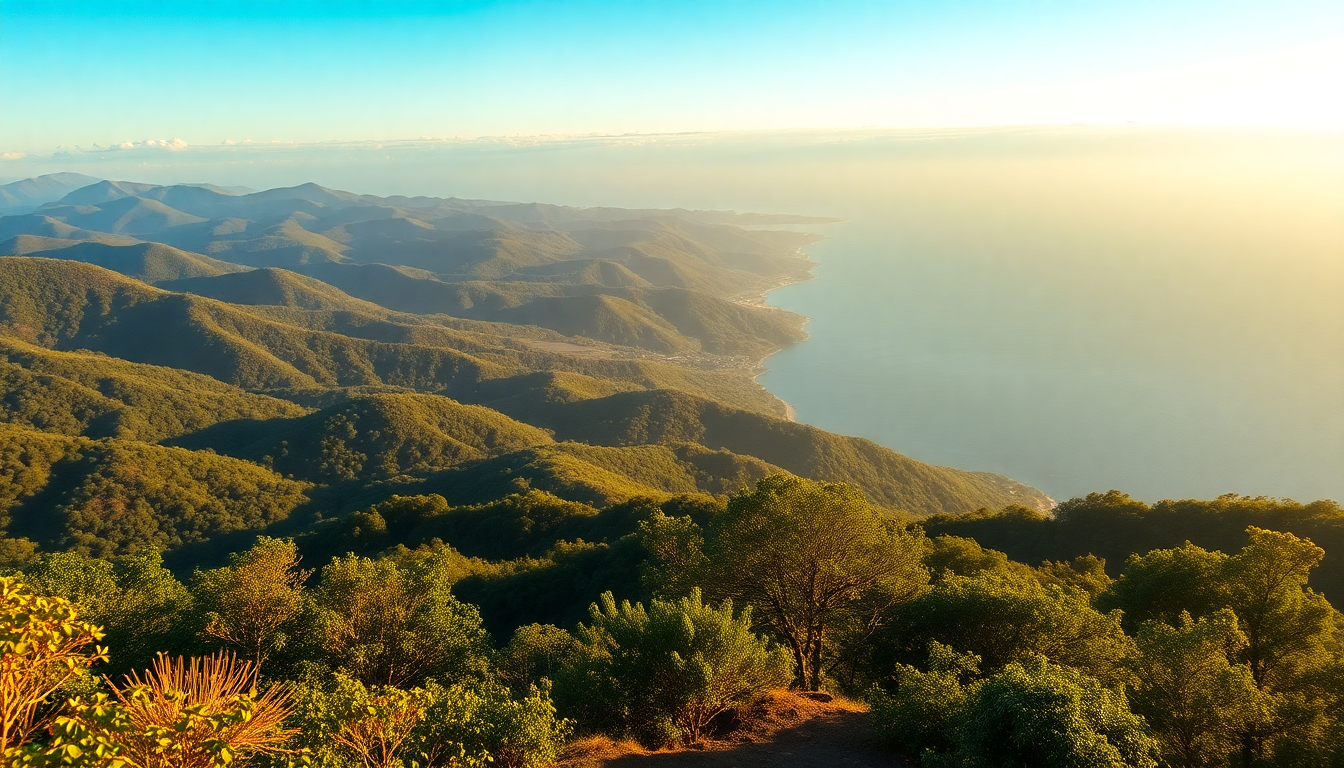 Best Day Trips from Medellín: Guatapé, Coffee & Santa Fe